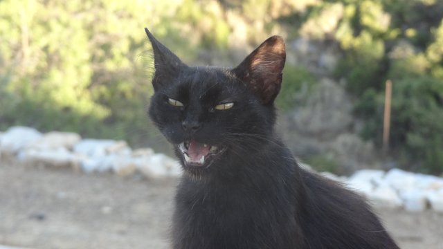 Mein Spooky hat Hunger :-)