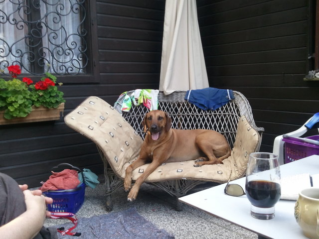 das sofa gehört mir ganz allein....