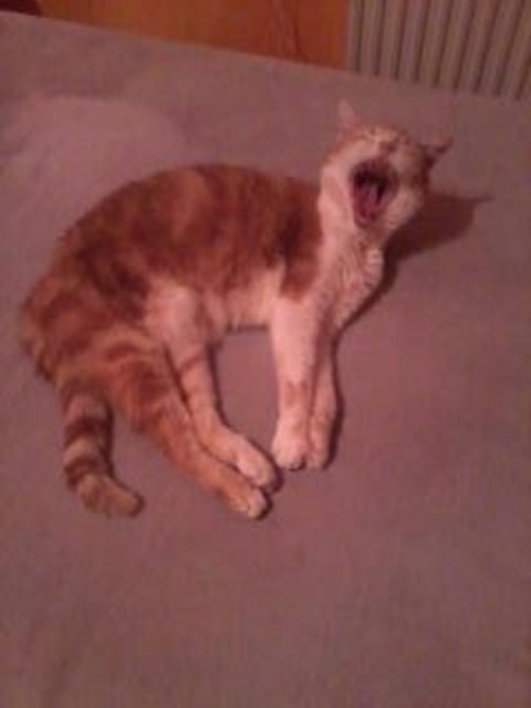 ICH RUH' MICH MAL AUS.