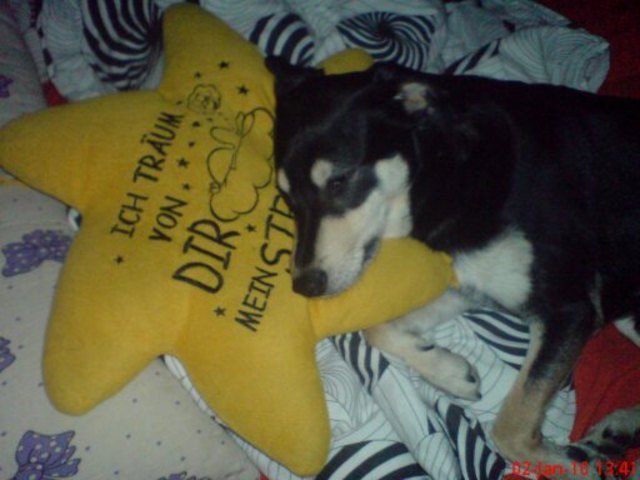 G-Samy beim Baby Schlaf