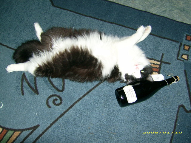 das war ein schluck zuviel