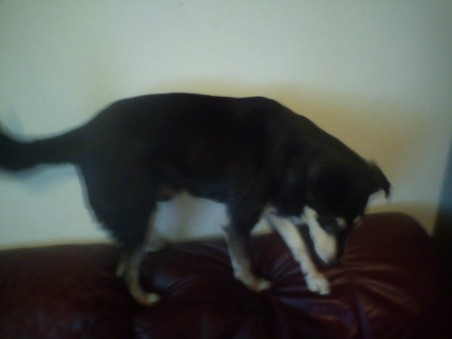 G-Samy beim turnen :-)