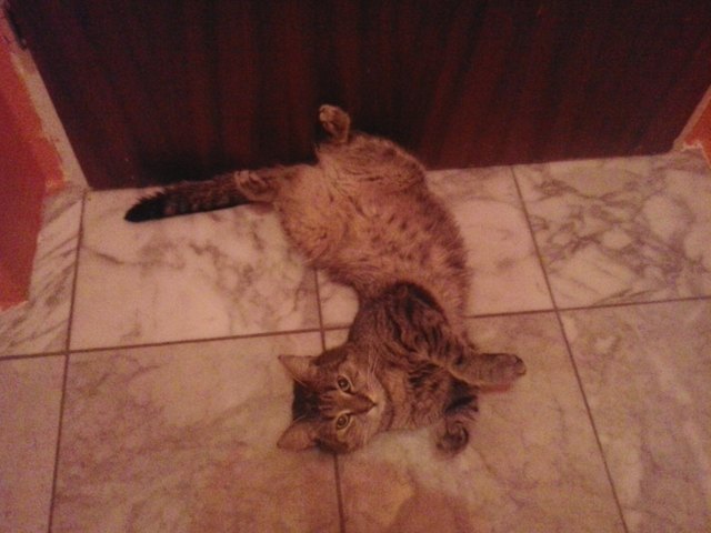 ICH MACH' MAL PAUSE.