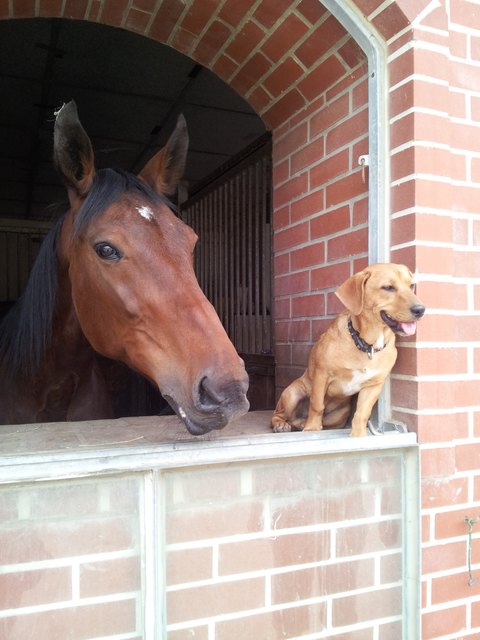 Freunde für immer !