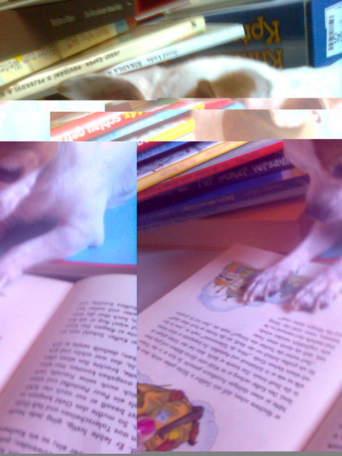 Meine kleine Freundin Ronja