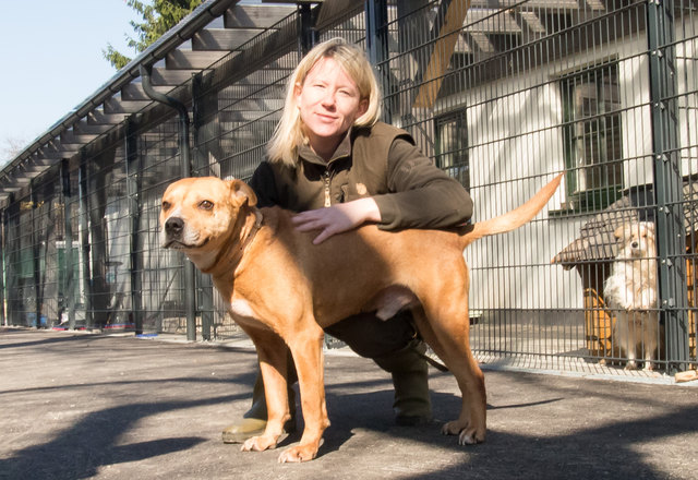 Sie will Tyson ein Leben hinter Gittern ersparen: Pamela Dettmann kümmert sich um den Pitbull.