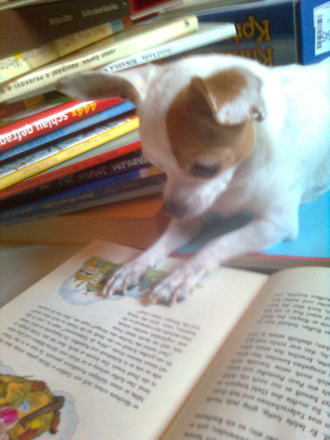 Meine kleine Freundin Ronja