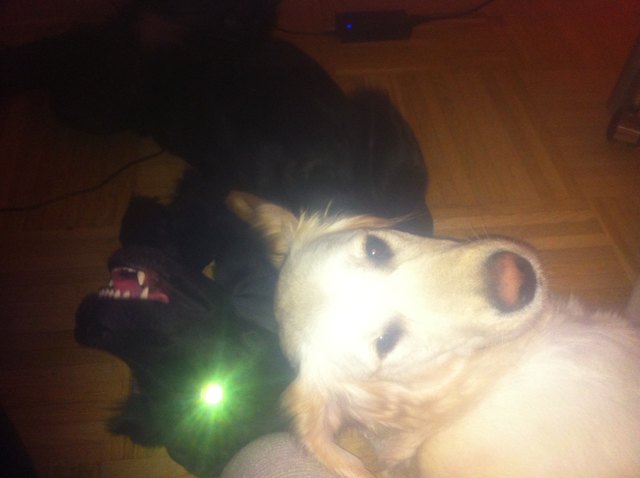 Meine Große (2jahre) und mein kleines Monster (7 monate)