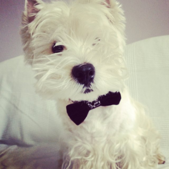 Ich bin ein Gentleman ;)