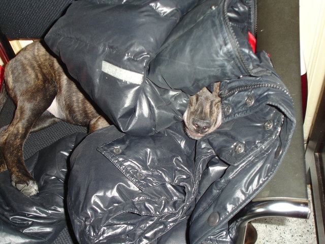 Irmi im Daunenjacken-Iglu