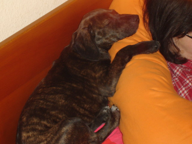 Irmi - der Schalk im Nacken