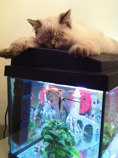 Alles unter Kontrolle