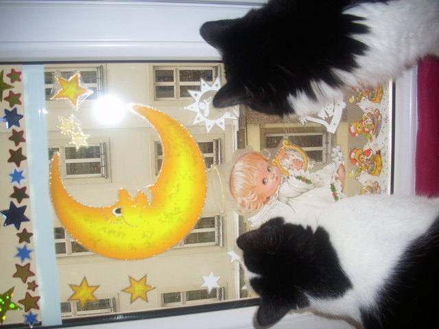 wann kommt endlich das christkind