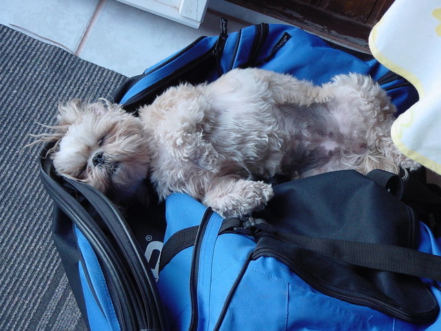 Frauli spielt Tennis, ich schlafe mich aus