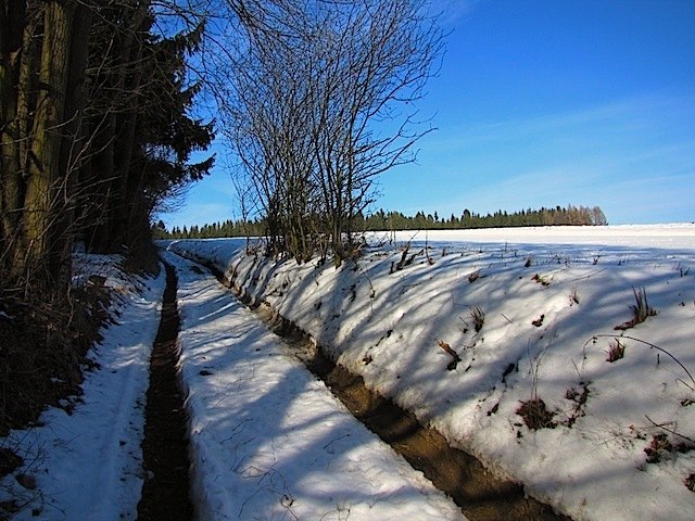 Hohlweg vor Scheideldorf