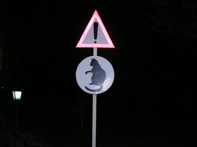 Achtung, Katze kreuzt den Weg