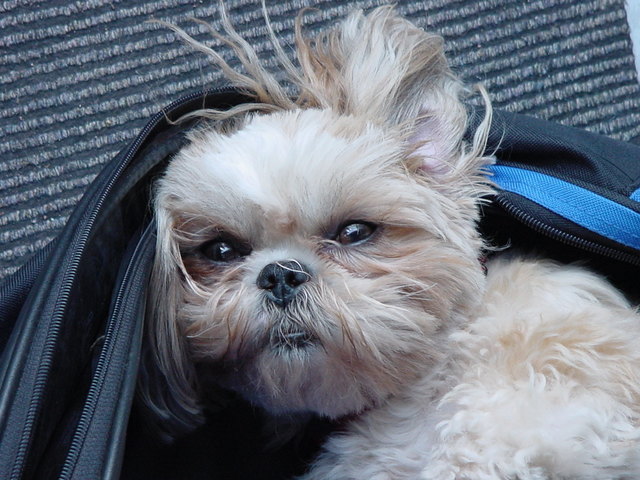 Frauli ist mit dem Tennisspiel fertig! Aufwachen!