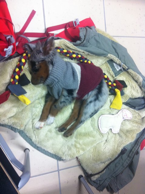 Stella's erster Tag auf der Uni