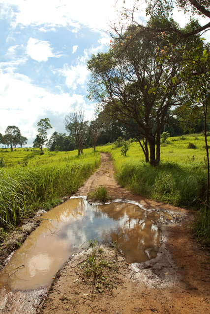 Foto: akeeris/Fotolia