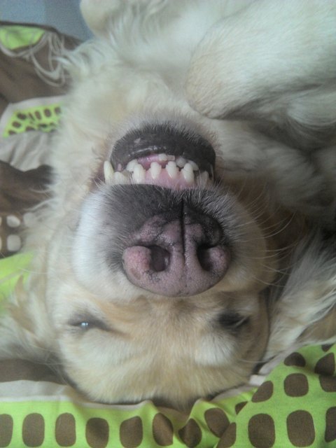 einmal GRINSEN bitte