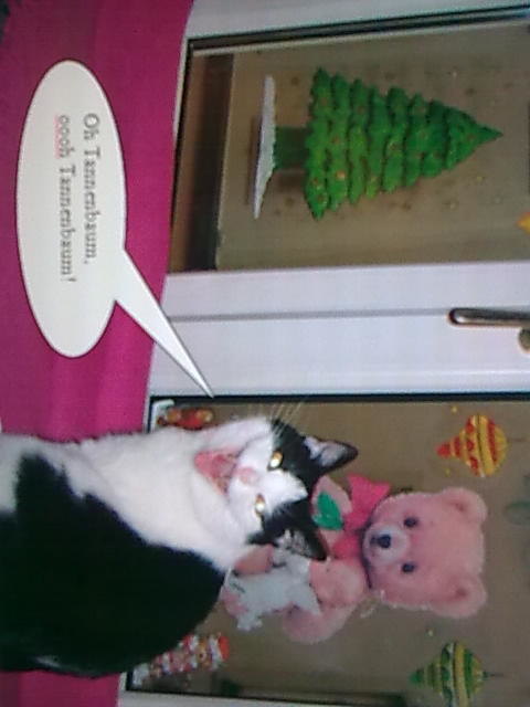 mein b-engerl singt ein weihnachtslied