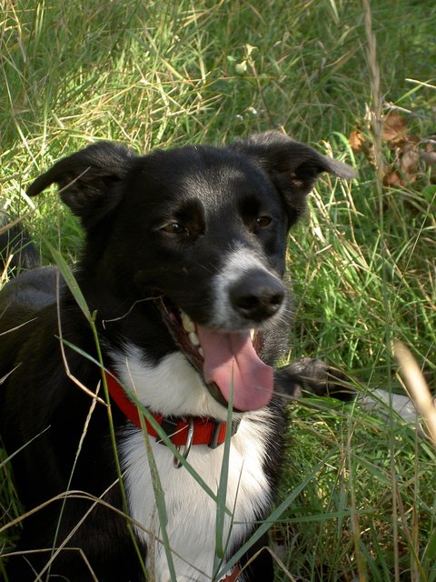 eine pause muss auch sein