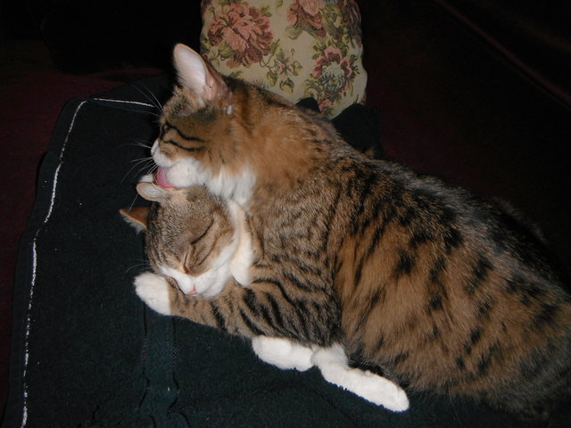 unsere Lieblinge Woody und Sissi