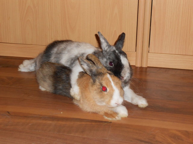 Wir haben uns soooo lieb!!!!