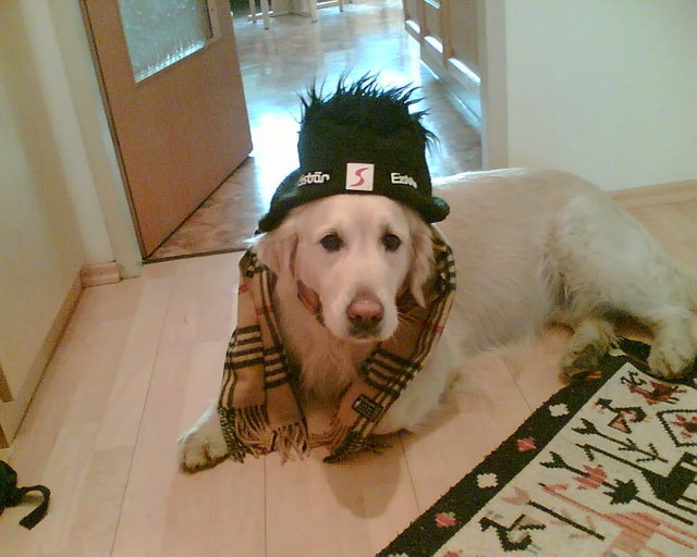 Wann kommt endlich das Frühjahr