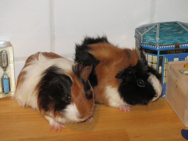 Hexi und Krümelchen