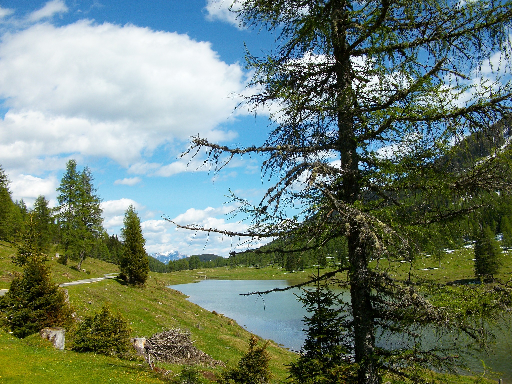 Tourismus Ulm Sehenswrdigkeiten Viamichelin
