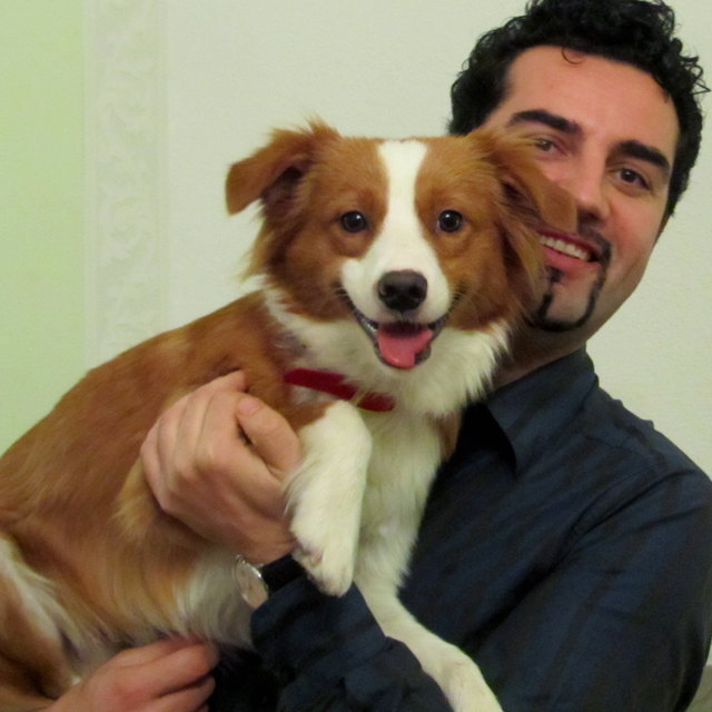 Meine beiden braunäugigen Lieblings-Verführer, der tierische ist Toffee ;0)