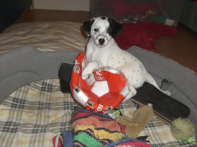 Fußballtraining erfolgreich beendet