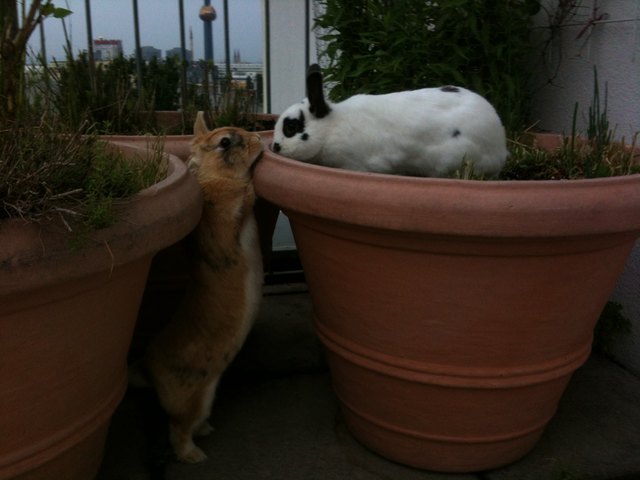 Kartis & Timo, abendliche Begegnung