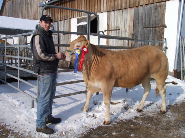 Jungbauer Ziegler mit Siegerkalbin "Linda", einer Blonde d'Aquitaine.