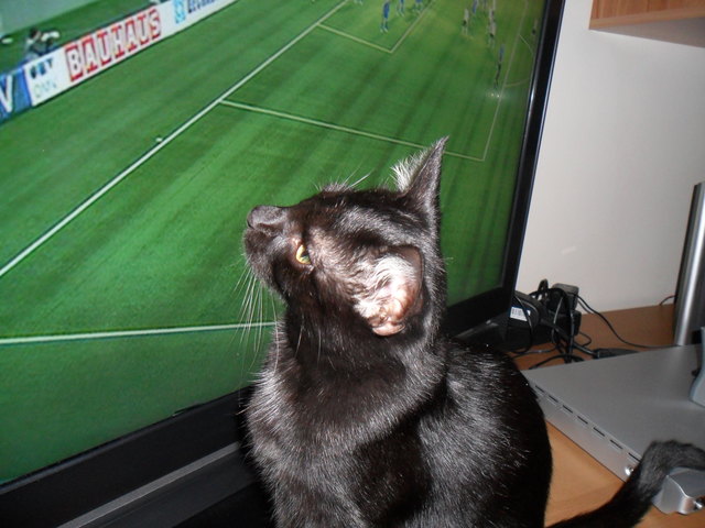 Fussballfanatikerin Laila