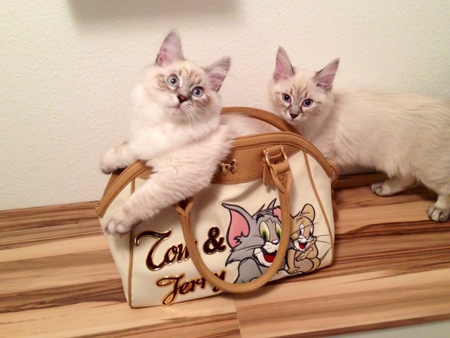 Nicht ohne uns - wir kommen mit!