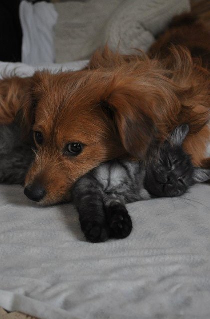 Ein Herz und eine Seele 