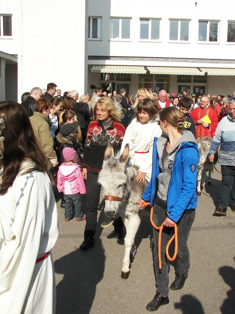 Palmsonntag in der Pfarre Linz - St. Peter