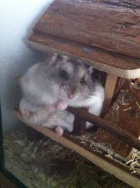 Die Aussicht genießen ...