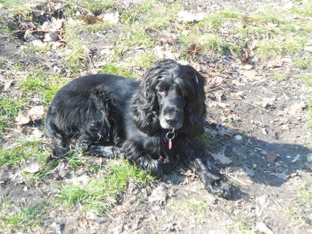 Mein erstes Sonnenbad