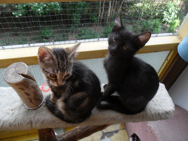 Sind wir nicht niedlich