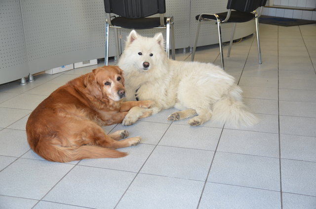Sandy und Ganis beim Händchenhalten :-)