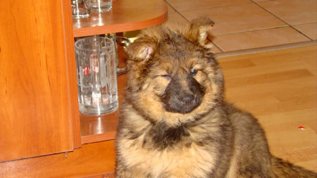 meine kleine süsse Kora