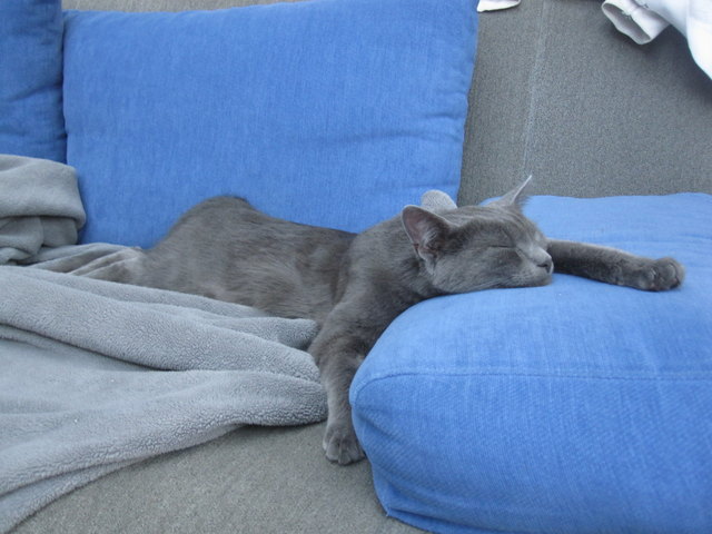 mein Mittagsschläfchen