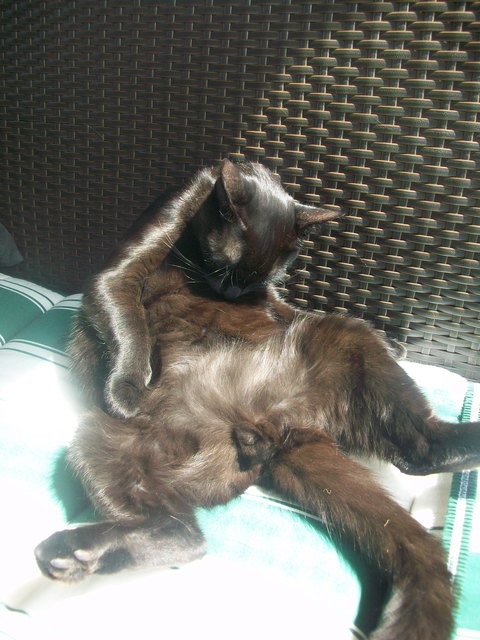 es war eine lange nacht :)