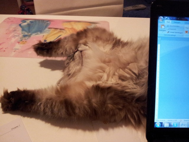 Mei, bin ich müd...