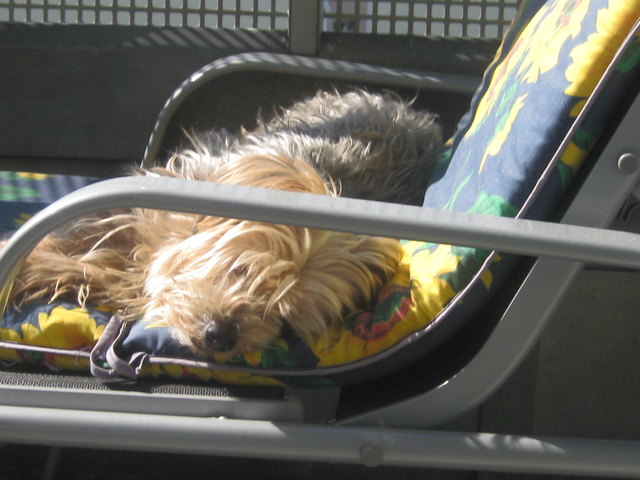 Rambo beim sonenbaden