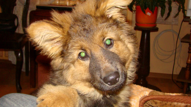 meine kleine süsse Kora