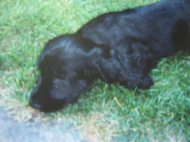 unsere Süße als Baby